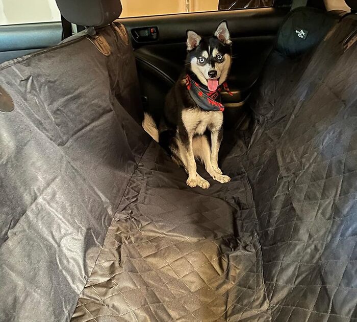 Tired Of Muddy Paws And Furry Messes In Your Truck? Protect Your Ride With A Rugged Dog Seat Cover For Trucks