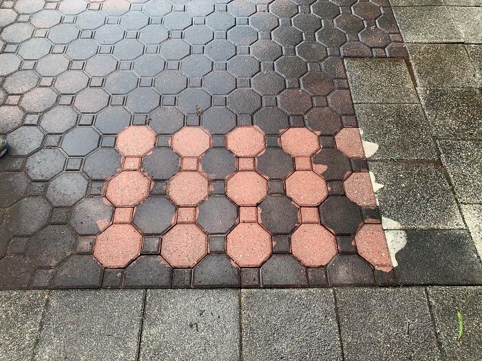 Didn’t Even Know What Color To Expect