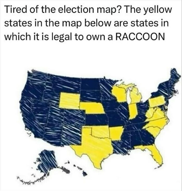 Humor meme featuring a U.S. map, highlighting in yellow states where raccoon ownership is legal.