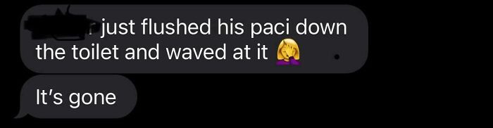 Screenshot of a funny text message about a dad flushing his child's pacifier down the toilet and waving at it.