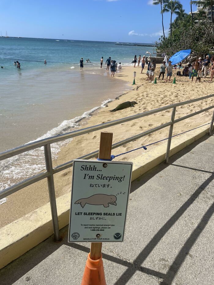 Beach with quirky treasure: a sign warns about sleeping seals, while people enjoy the shore in the background.