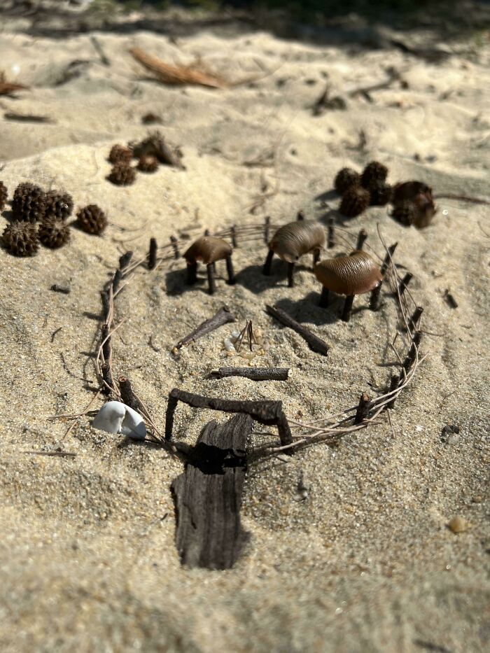 I Made A Lil Town At The Beach