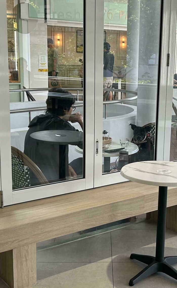 This Guy Having A Coffee With His Dog
