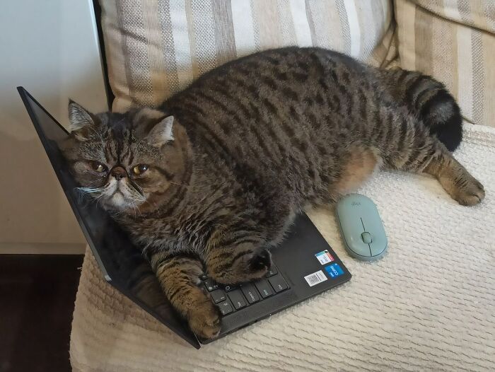 Not Working Today, Dude