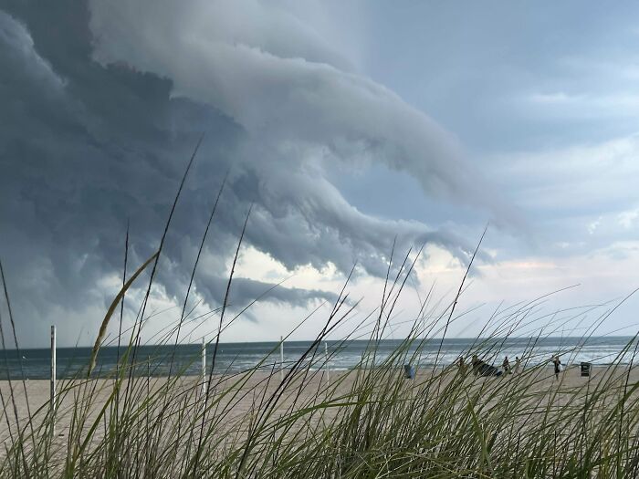 Stormy clouds over a beach with tall grass, capturing a moment where quirky treasures might wash ashore.