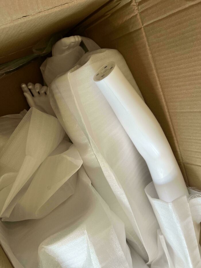 Ordered A Litter Box Enclosure And Got…a Body. I Really Needed That Litter Box Too