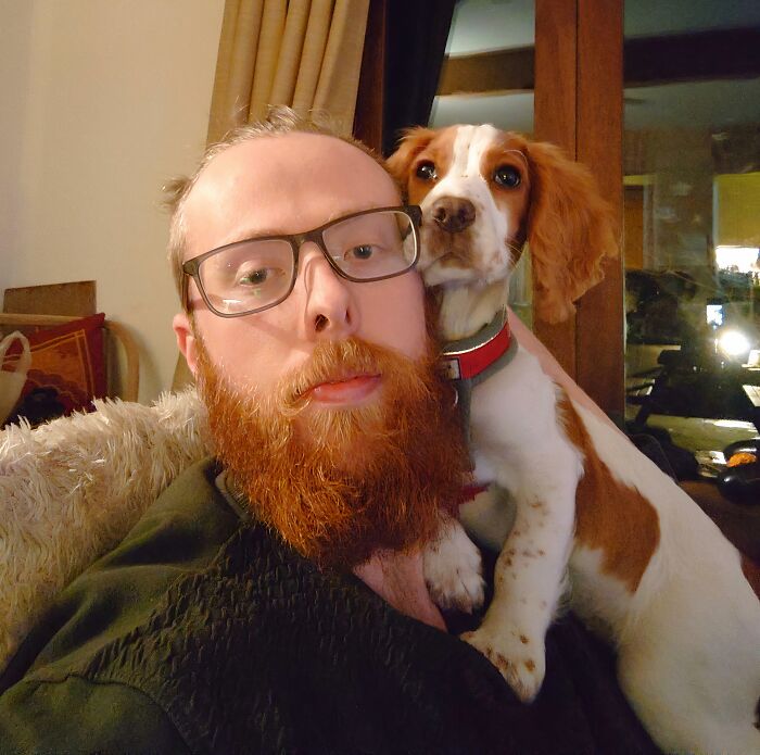 I've Seen A Lot Of Shoulder Cats. I Raise You A Cocker Spaniel With No Concept Of Personal Space