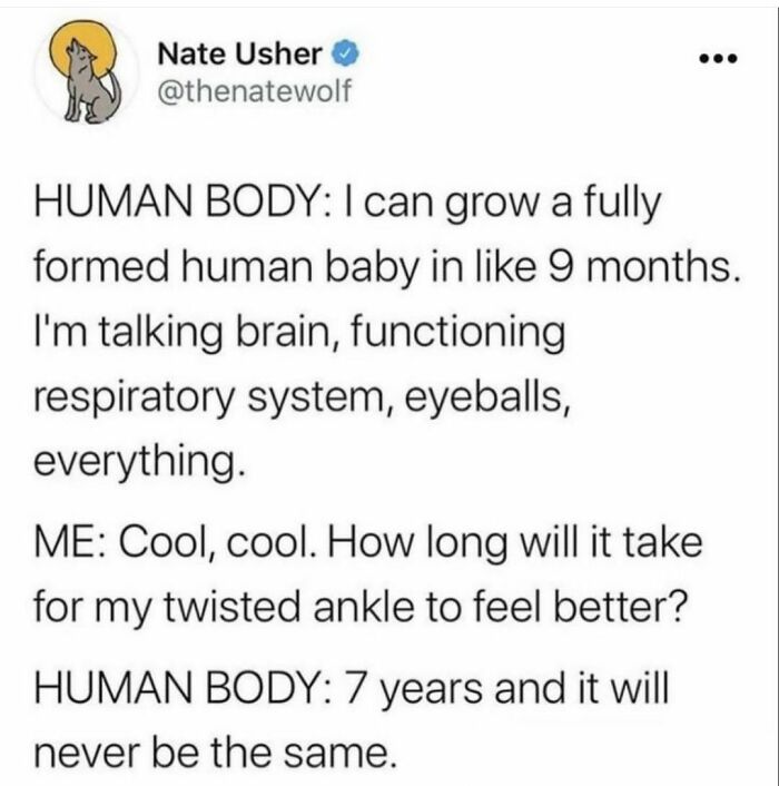 Funny tweet about the human body growing a baby in 9 months but a twisted ankle taking 7 years to heal shared on an IG page.