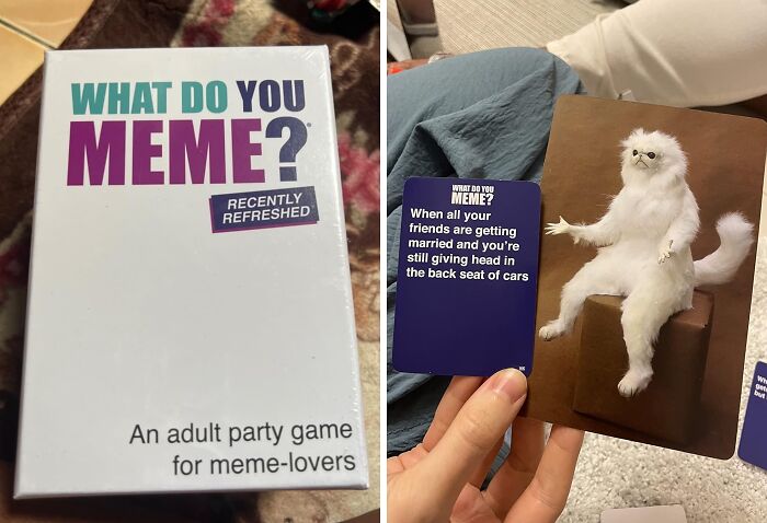 Box of the compact and straightforward game What Do You Meme and a player holding a humorous meme card with a white cat.