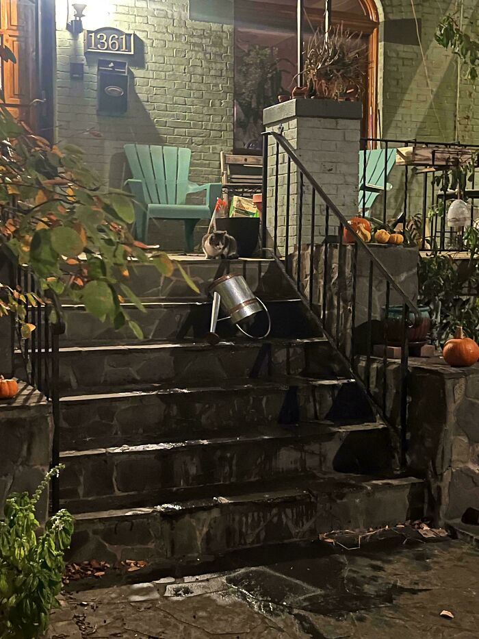 Front porch with scattered pumpkins and a tipped watering can, resembling a Renaissance painting in composition.