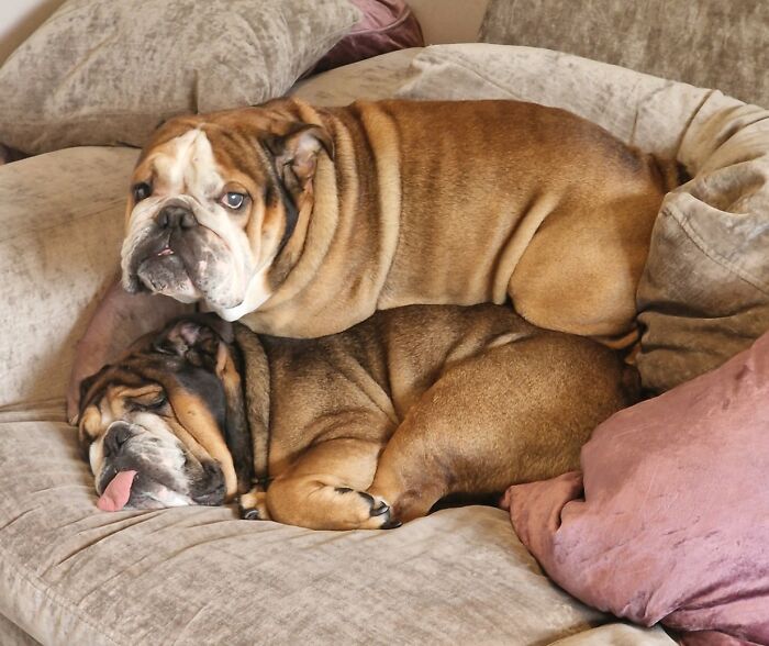 Personal Space Issues Getting Ridiculous Now!