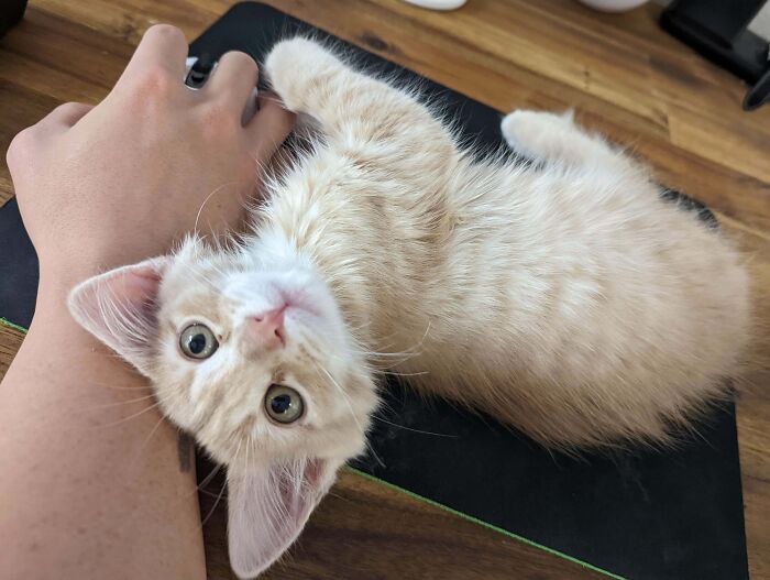 My Roommate Takes Up All The Mousepad Space. Advice Is Welcome