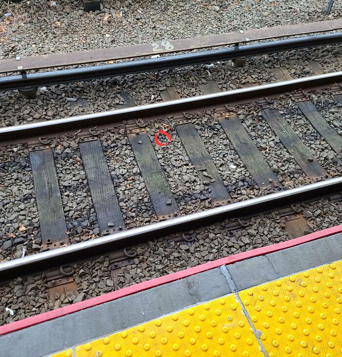 Dropped One Of My Wireless Earbuds On The Train Tracks All Of 10 Minutes Into The 3 Hour Trip