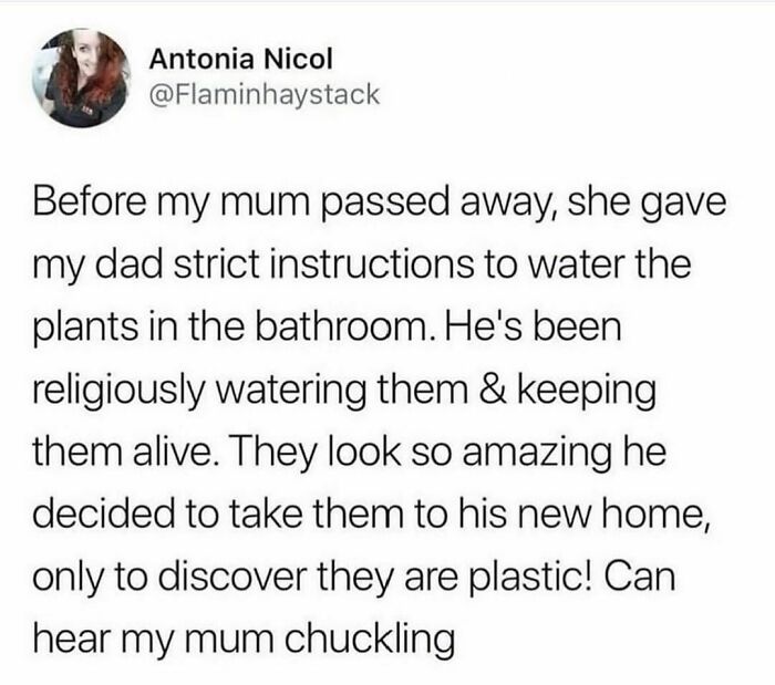 Screenshot of a hilarious tweet about watering plastic plants, part of 100 most hilarious tweets shared on Instagram.