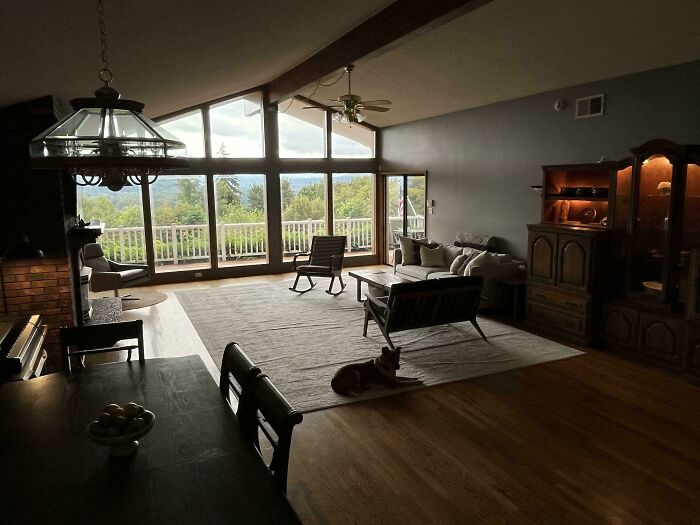 Girlfriend Left Me And Left Her Dog, So I Redecorated