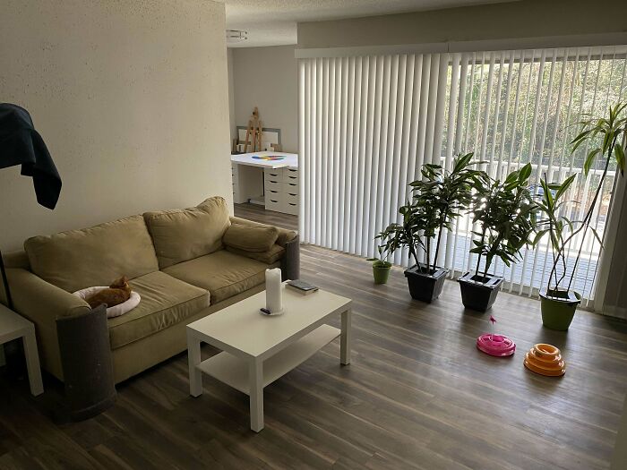 42m, What Vibes Does My Place Give Of