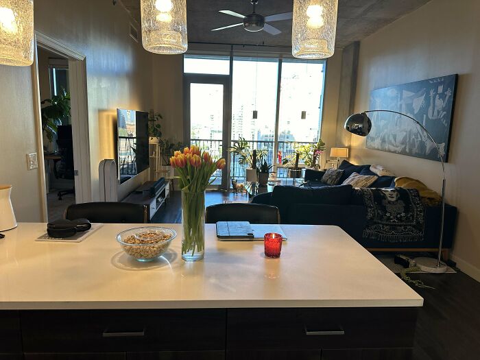 The Space I Share With My Two Roommates Who Refuse To Get A Job