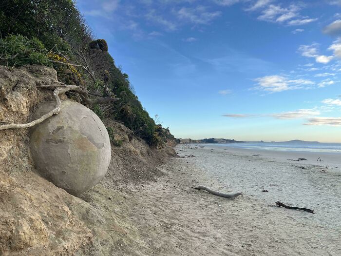 Quirky treasures on beach: large round stone embedded in a sandy cliff near the shoreline.