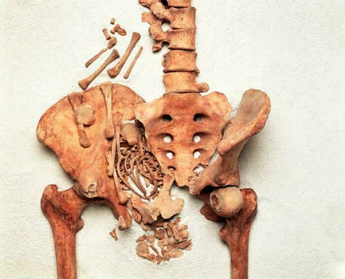 A fragmented, ancient human skeleton revealing a creepy image of bones, likely from a child, amidst pelvic and spinal remains.