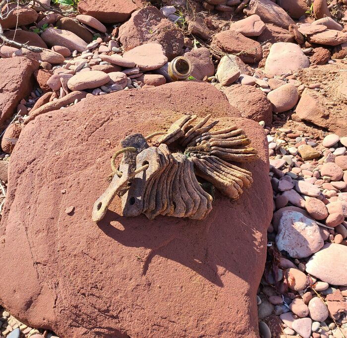 Beach Find On Pei, North Lake