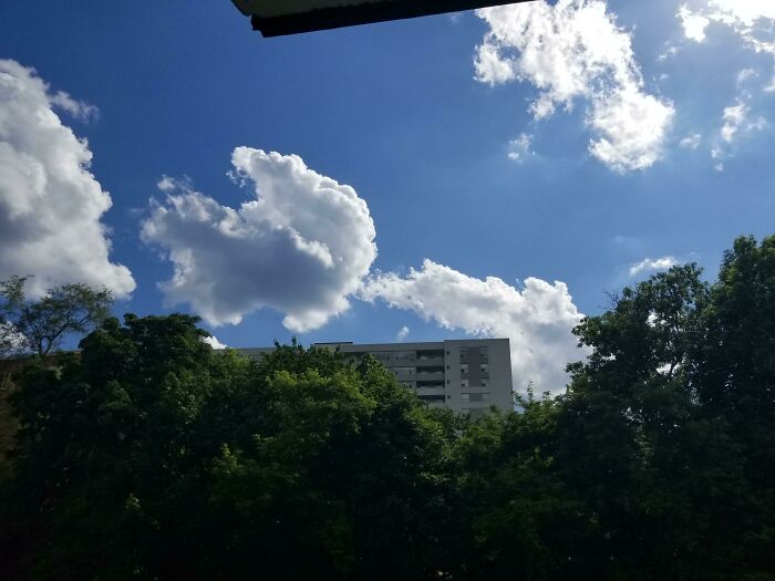 Fascinating cloud shapes in blue sky above trees and a building.