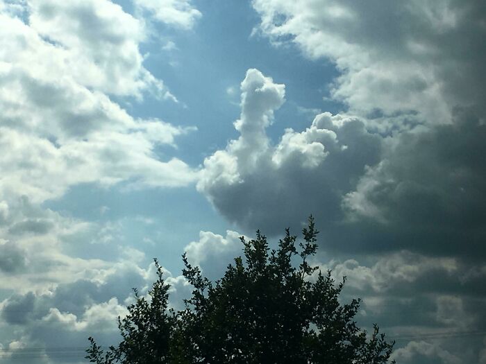 This Cloud Is Flipping Me Off