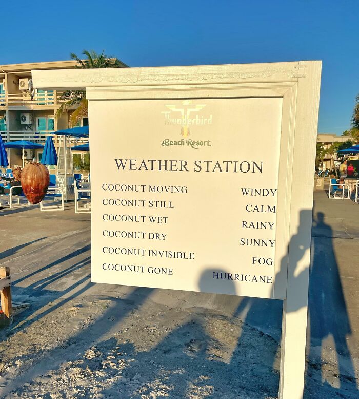 Beach resort sign humorously displays weather using coconut as a quirky treasure.
