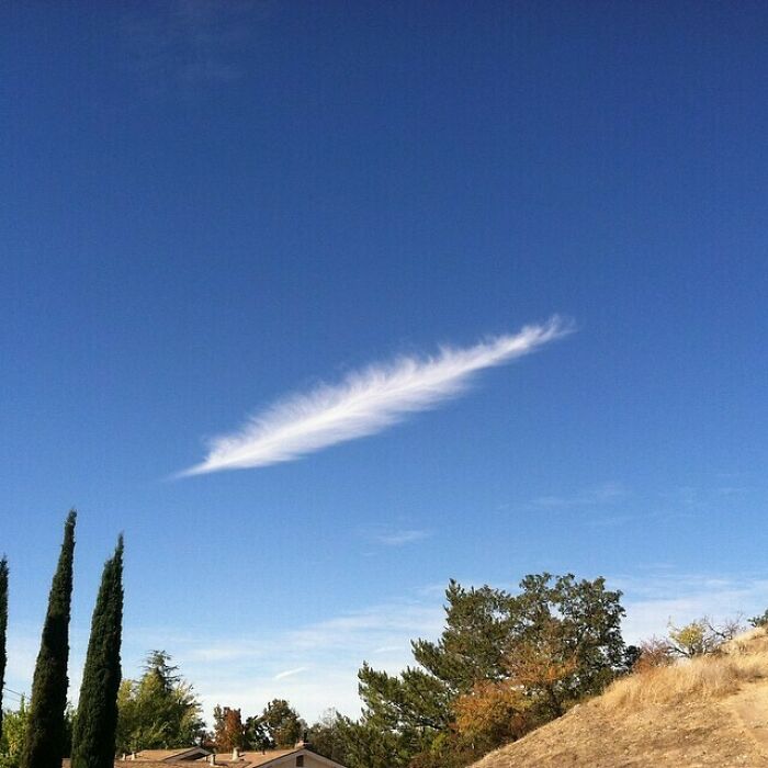 Feather-shaped cloud against a clear blue sky, creating a fascinating and surprising natural formation.
