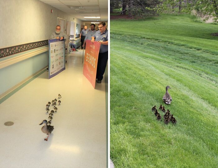 Every Year, Mama Follows The Same Path