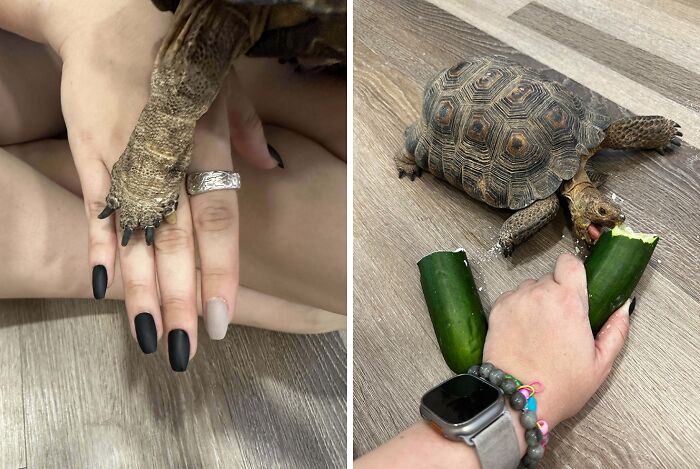[oc] Did My Nails To Match My Tortoise Kevin’s
