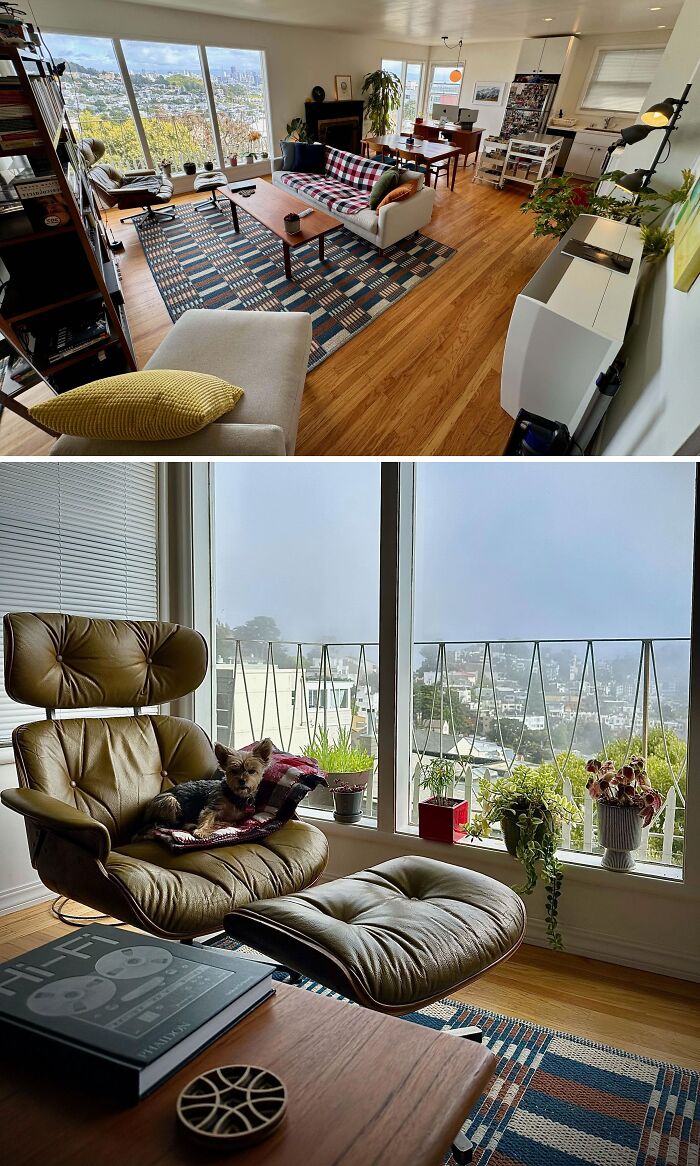 34m. It's Just Been My Dog And Me For 12+ Years