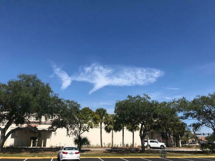 Fascinating cloud shape resembling an animal in a clear blue sky above a building and parked cars.