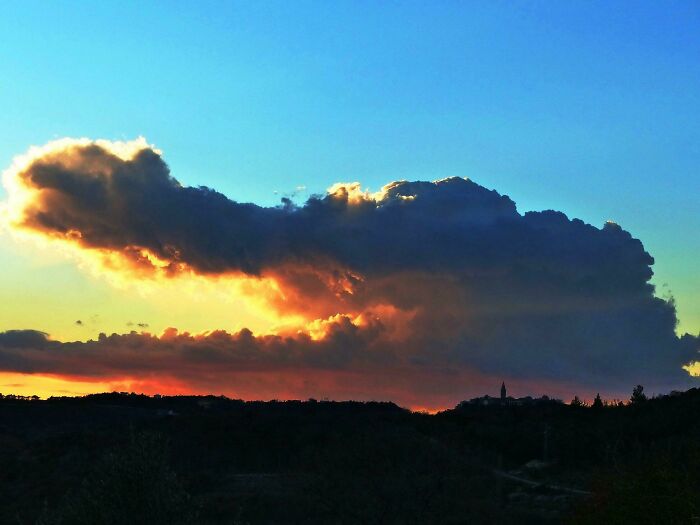A fascinating cloud shape in the sky resembling a large animal at sunset.