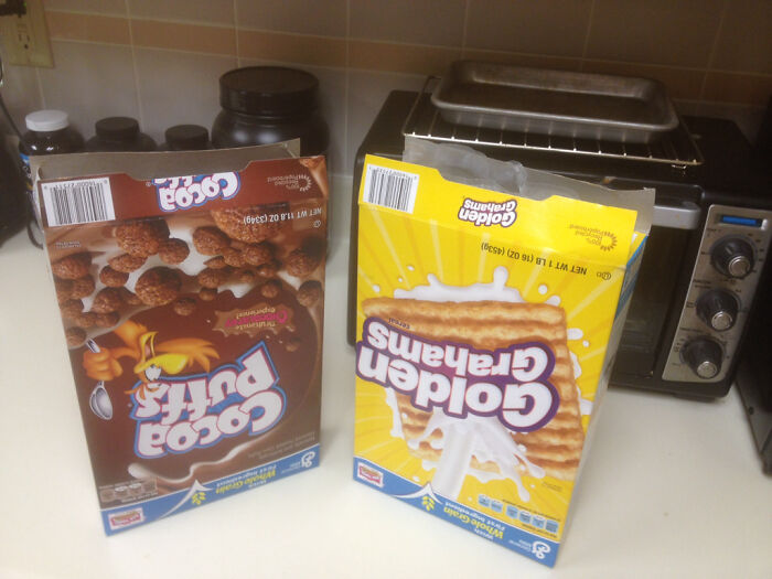 My Wife Is A Monster