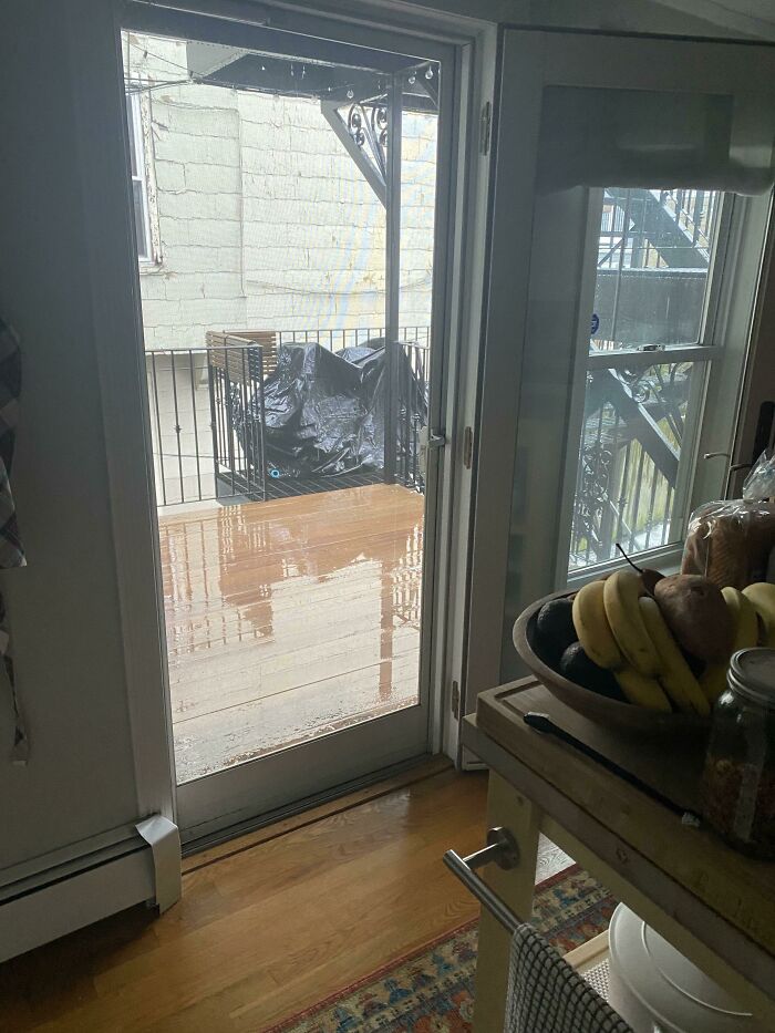 My Girlfriend Insists On Having Only The Screen Door Open For 30 Minutes At A Time Every Morning To “Air The Apartment Out”, Even When It’s 30 Degrees Outside