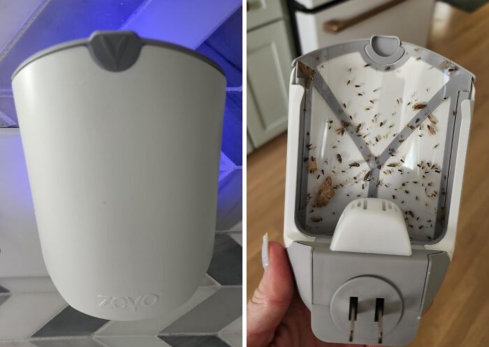 Plastic electric insect trap from Amazon, shown clean and filled with trapped insects, popular most-wished-for find.