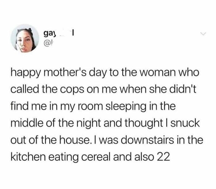 Tweet about a toxic mother calling the cops on her adult child who was just eating cereal downstairs.