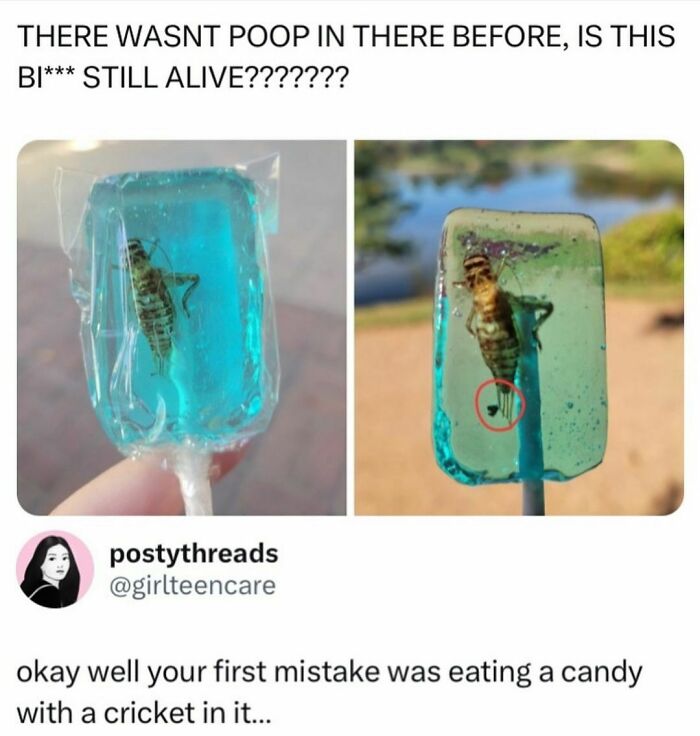 Cricket trapped inside a blue lollipop, featured as one of the most hilarious tweets shared on social media.