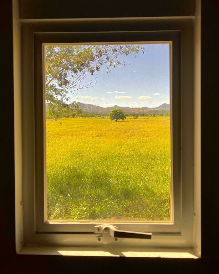 View of a sunlit grassy field through a window, resembling Renaissance paintings with its serene, natural landscape.