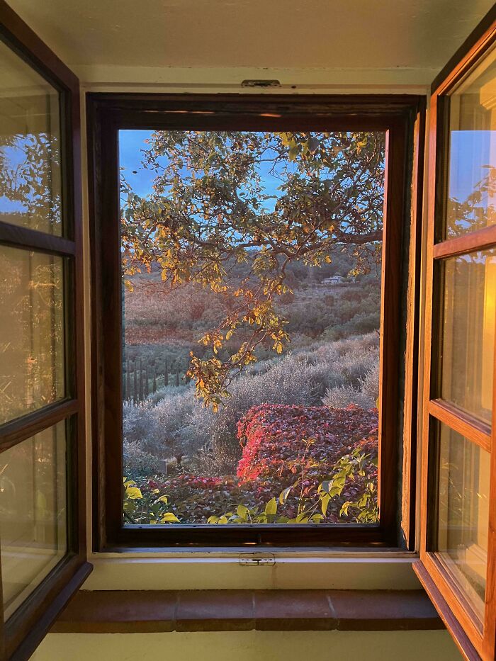 View through an open window showcasing a serene landscape, resembling a Renaissance painting.
