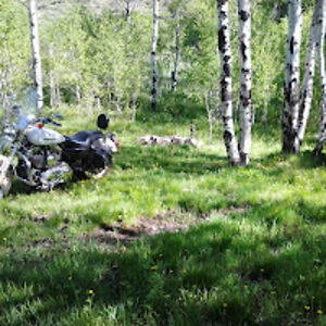 rickblessinger avatar