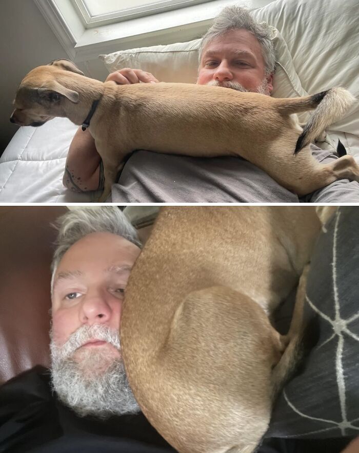 How About Some Pics Of Dogs Not Understanding The Concept Of Personal Space?