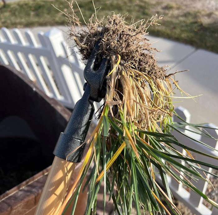 Weed Out The Competition With Grampa's Weeder