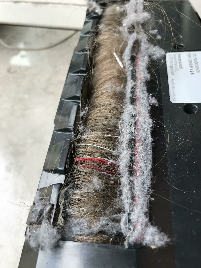 Vacuum roller clogged with hair and dust, illustrating a common frustration in household cleaning tasks.