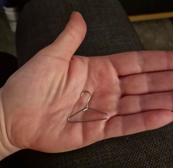 What Is This? A Coat Hanger For Ants?