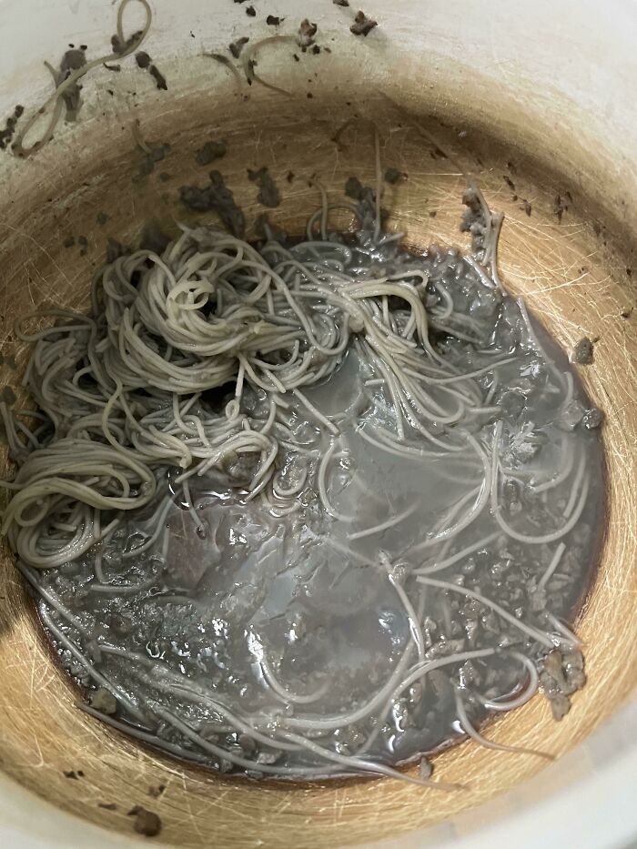 Under A Tight Deadline, I Had To Stop Everything To Post My Wife's Dinner