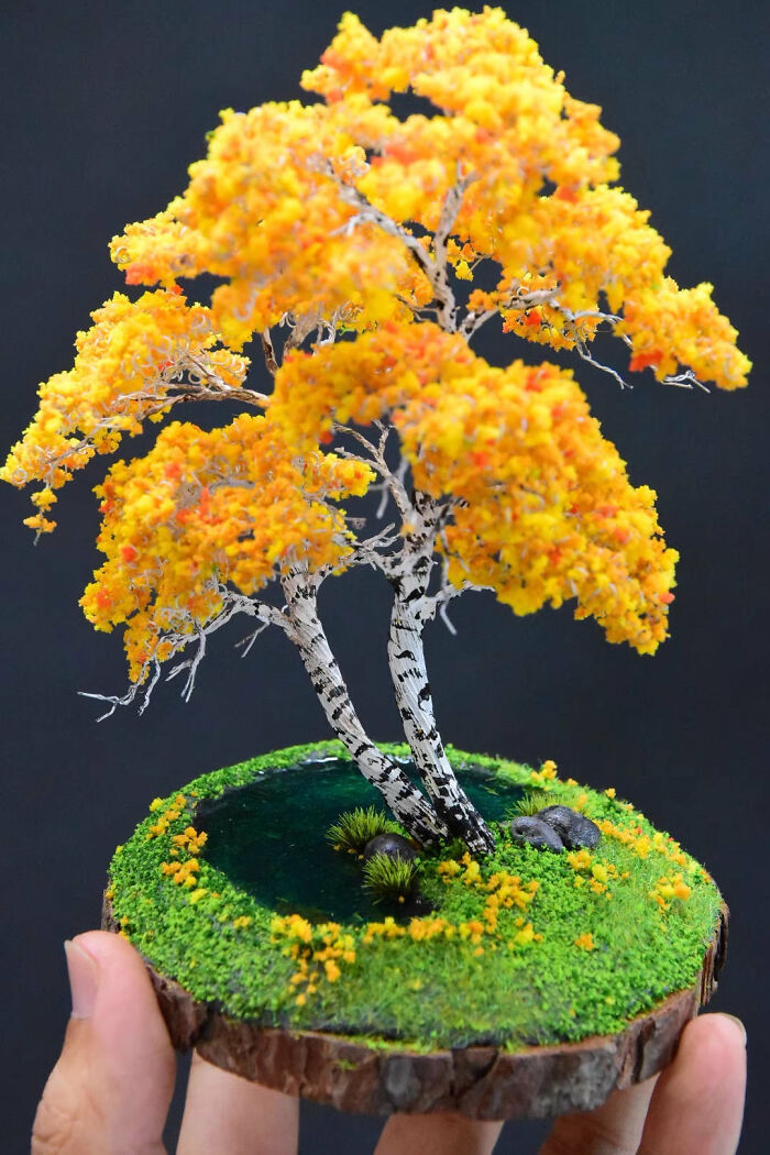 I Created A Magical Miniature World With An Enchanted Forest