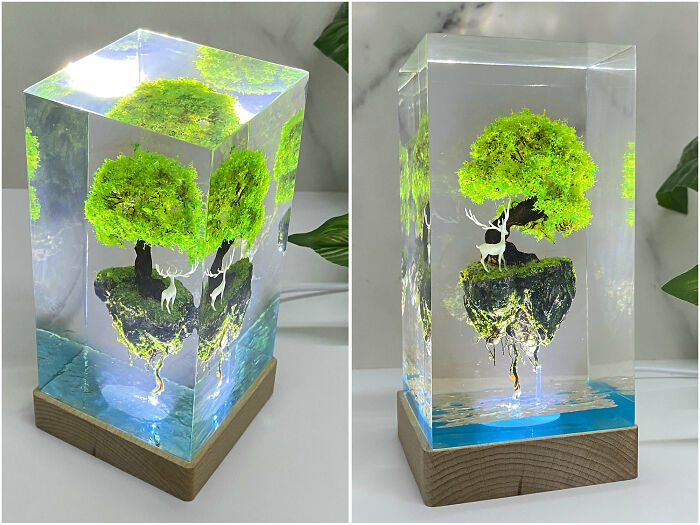 I Created A Magical Miniature World With An Enchanted Forest