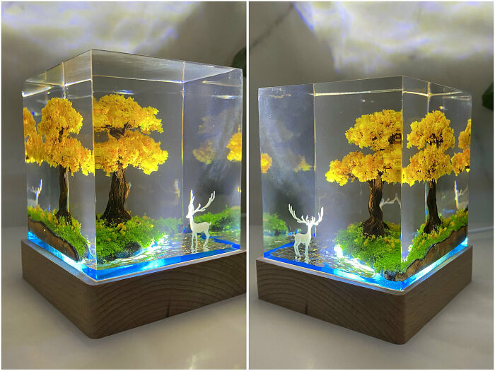 I Created A Magical Miniature World With An Enchanted Forest
