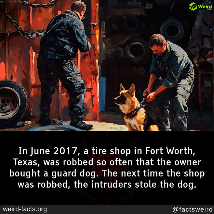 Two men with a guard dog in a tire shop setting, illustrating a weird fact about a robbery incident in Fort Worth.